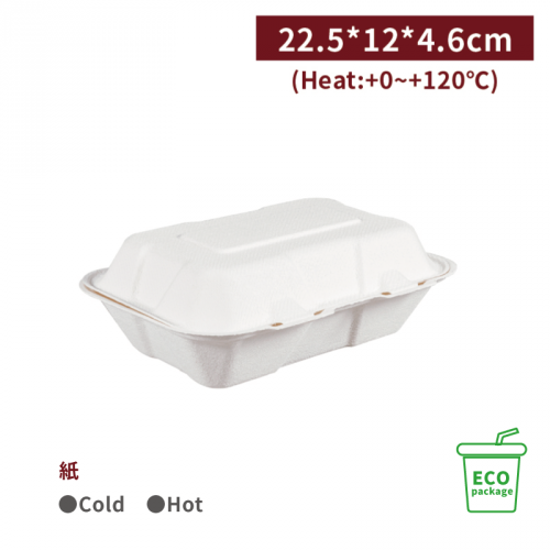 BA150002 【バガス-紙製 ECO ランチボックス レンジ対応 22.5*12*4.6cm